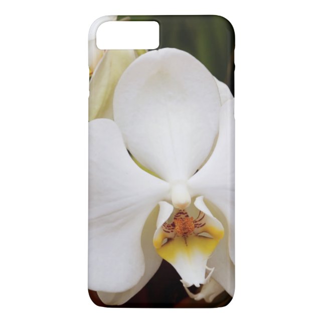 Capa Para iPhone, Case-Mate Orquídea Lua Branca (Phalaenopsis Aphrodite) (Verso)