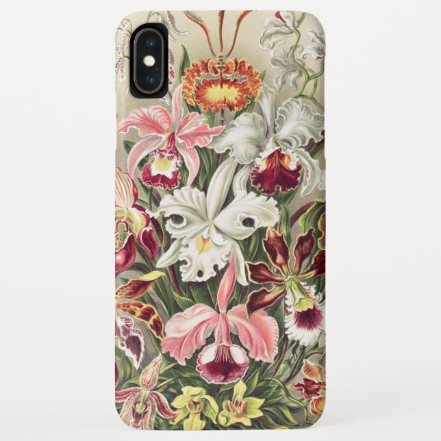 Capa Para iPhone, Case-Mate Orquídeas, Orchideae Denusblumen por Ernst Haeckel (Verso)