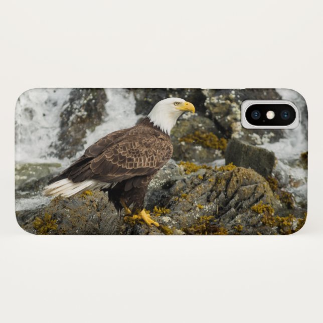 Capa Para iPhone, Case-Mate Ortod Bald Eagle (Verso (Horizontal))