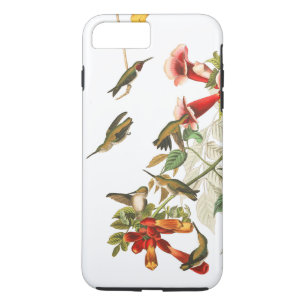 Capa iPhone 8 Plus/7 Plus Os animais selvagens dos pássaros do colibri