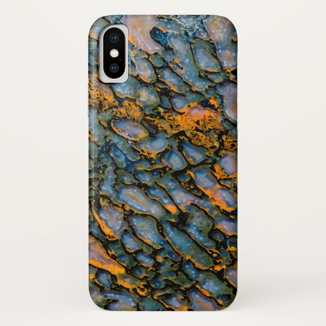 Capa Para iPhone, Case-Mate Osso de Dinossauro Petrificado (Verso)