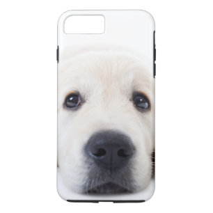 Capa iPhone 8 Plus/7 Plus Ouro recupera filhote fofo deitado