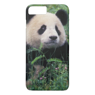 Capa iPhone 8 Plus/7 Plus Panda gigante na grama, Vale de Wolong, Sichuan