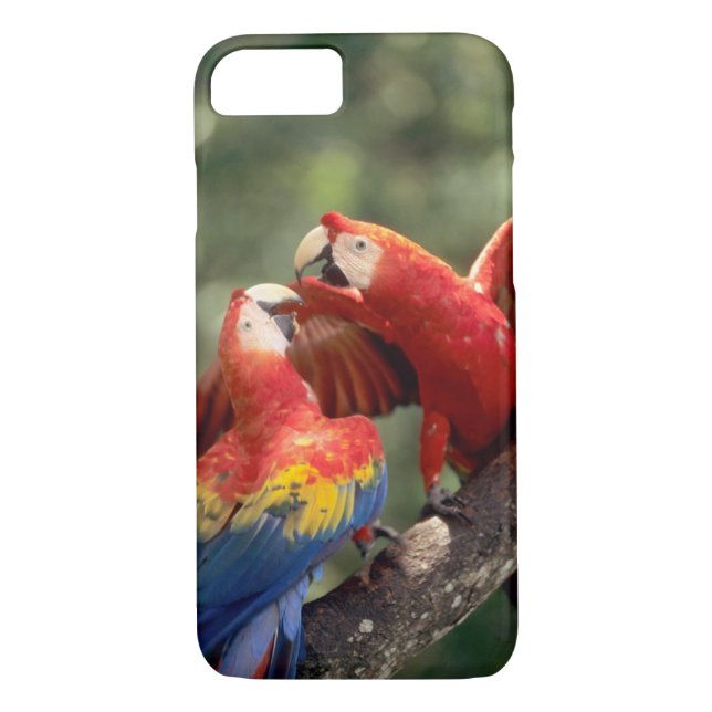 Capa Para iPhone, Case-Mate Par de Macaws Escarlate (Verso)