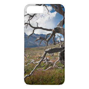 Capa Para iPhone Da Case-Mate Parque Nacional Torres del Paine, árvores danifica