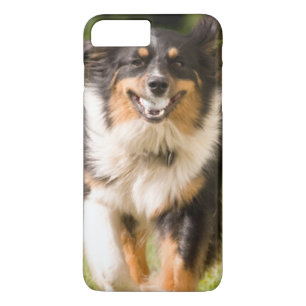 Capa Para iPhone Da Case-Mate Pastor Australiano Brincando Com Bola