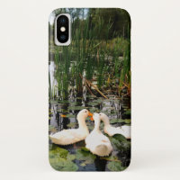 Patos brancos, almofadas de lírios, cattails, cost
