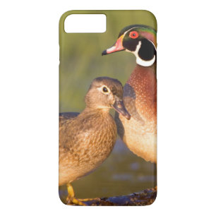 Capa iPhone 8 Plus/7 Plus Patos-carolinianos e fêmea em tronco em área úmida