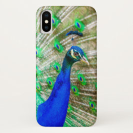 Capa Para iPhone Da Case-Mate Peacock Plumage