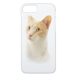 Capa iPhone 8/7 Pequeno Gato Loiro Maravilhoso