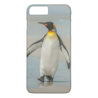Pinguim caminhando na praia