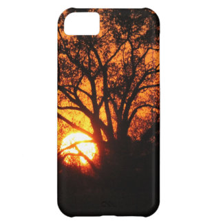 Capa Para iPhone 5C Por do sol do leste de Texas