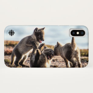 Capa Para iPhone X Primavera - Raposa Árctica