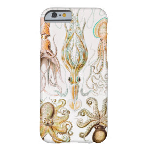 Capa Barely There Para iPhone 6 Pula de Octopus, Gamochonia por Ernst Haeckel