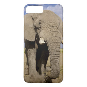Capa Para iPhone Da Case-Mate Quênia: Parque Nacional de Amboseli, elefante mach