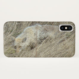 Capa Para iPhone X R13 Coyote na Grama