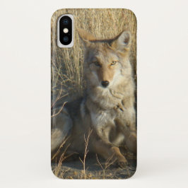 Capa Para iPhone Da Case-Mate R15 Coyote Lay