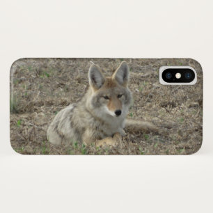 Capa Para iPhone X R22 Coyote Deitado