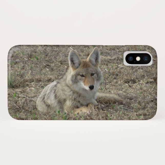 Capa Para iPhone, Case-Mate R22 Coyote Lay (Verso (Horizontal))