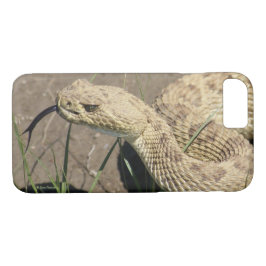Capa iPhone 8/7 R8 Prairie Rattlesnake Head Shot