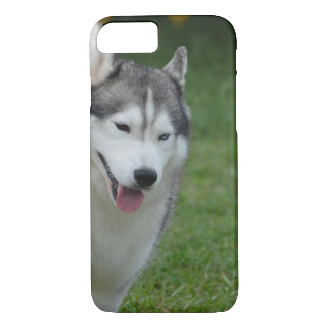 Capa Para iPhone, Case-Mate Rouco Siberian bonito (Verso)