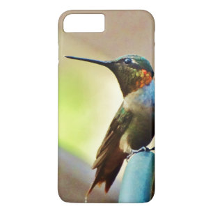 Capa Para iPhone Da Case-Mate Rubi empoleirado e colibri pequeno verde