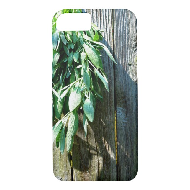 Capa Para iPhone, Case-Mate Sage Barn-wood, recortada recentemente (Verso)
