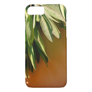 Capa Para iPhone Da Case-Mate Sage de corte fresco