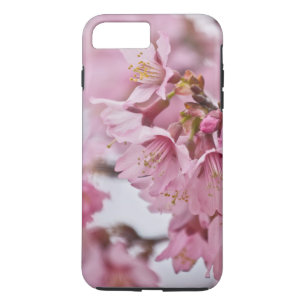 Capa Para iPhone Da Case-Mate Sakura Cherry Blossoms Rosa Pálido