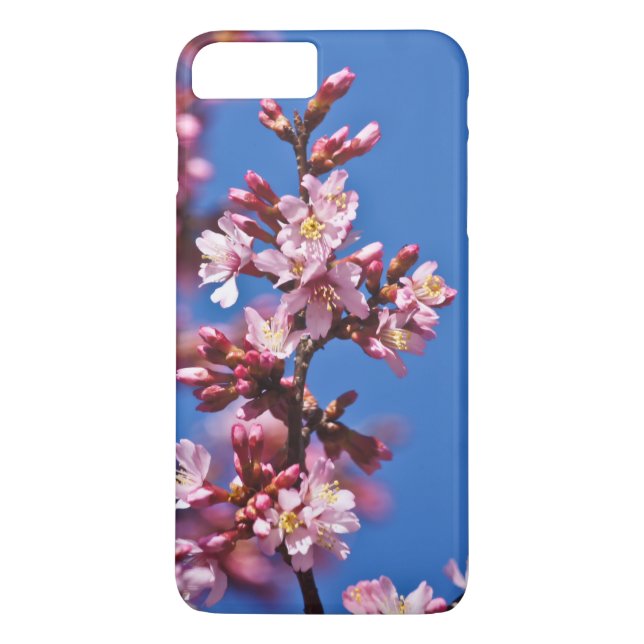 Capa Para iPhone, Case-Mate Sakura Cherry Blossoms tocando azul (Verso)