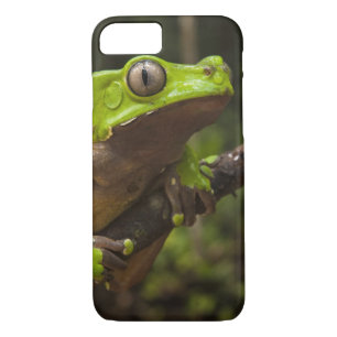 Capa Para iPhone Da Case-Mate Sapo gigante Phyllomedusa bicolor)