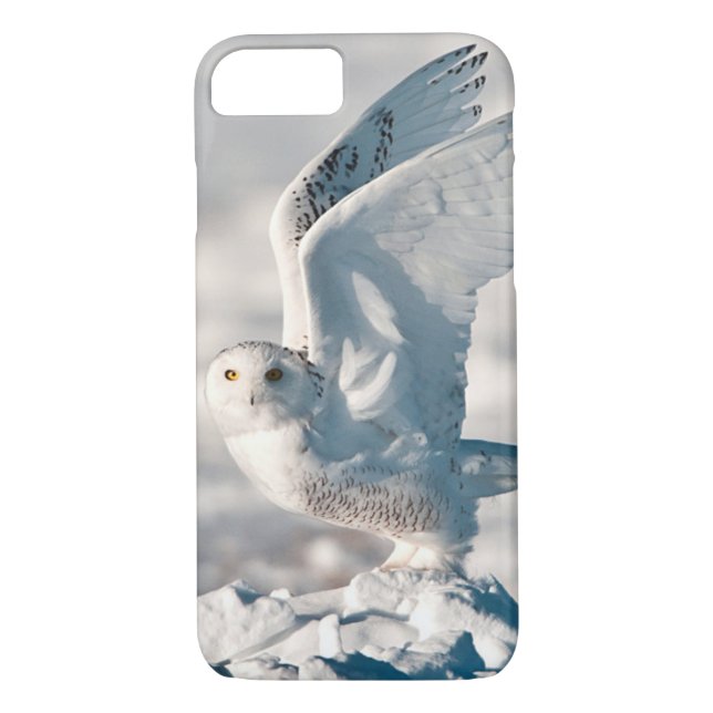Capa Para iPhone, Case-Mate Snowy Owl a sair da neve (Verso)