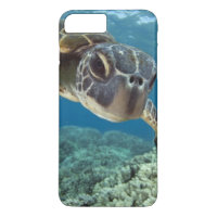 Tartaruga de mar verde havaiana