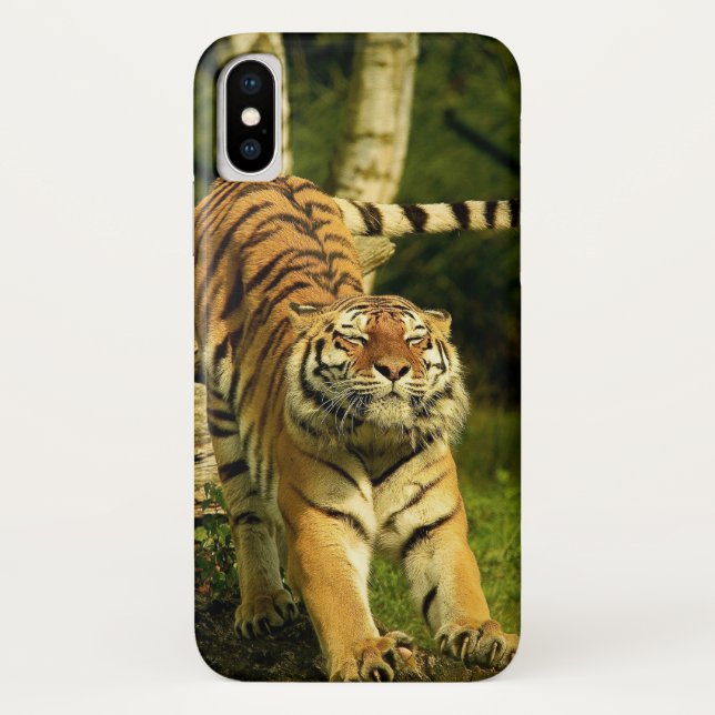 Capa Para iPhone, Case-Mate Tiger Esticando o Mundo da Boa Manhã (Verso)