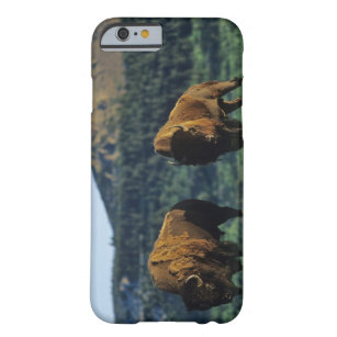 Capa Barely There Para iPhone 6 Touros do bisonte no parque nacional dos lagos