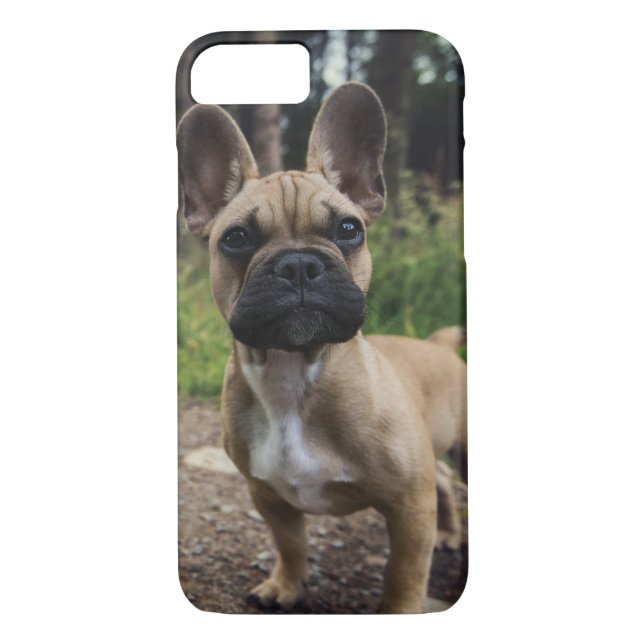 Capa Para iPhone, Case-Mate Travesseiro decorativo de Buldogue Francês (Verso)