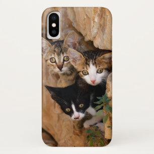 Capa Para iPhone Da Case-Mate Três Gatinhos Curiosos Enfrentam Foto Engraçada -
