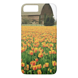 Capa iPhone 8 Plus/7 Plus Tulipas da primavera florescem em frente a velho c
