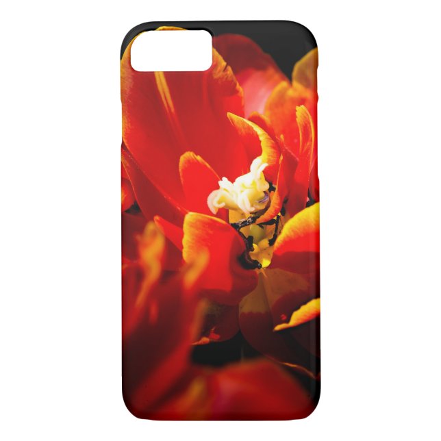 Capa Para iPhone, Case-Mate Tulipas vermelhas fundo escuro (Verso)