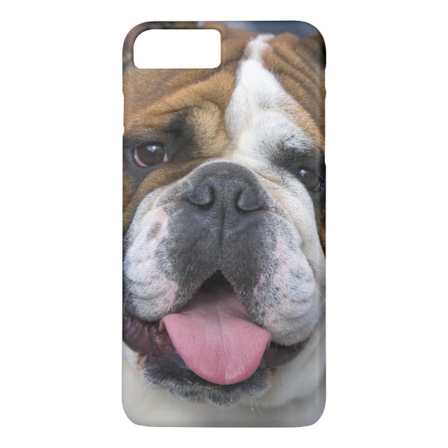 Capa Para iPhone, Case-Mate Um buldogue inglês na Bélgica. (Verso)