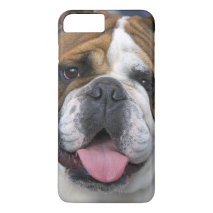 Capa Para iPhone Da Case-Mate Um bulldog inglês na Bélgica.