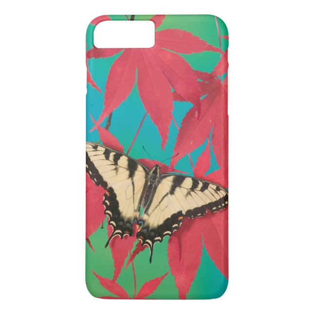 Capa Para iPhone, Case-Mate Uma borboleta canadense Tigre Swallowtail (Verso)