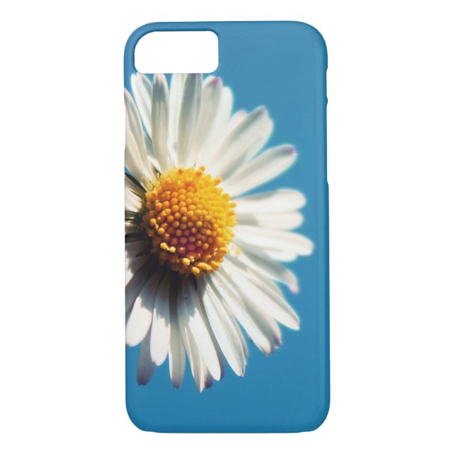 Capa Para iPhone, Case-Mate Uma margarida branca brilhante sob um céu azul gra (Verso)