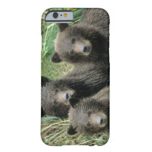 Capa Barely There Para iPhone 6 Urso Cubs ou Coys do urso três (Cub do