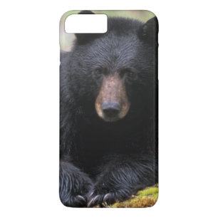 Capa iPhone 8 Plus/7 Plus Urso negro em um antigo tronco de crescimento no