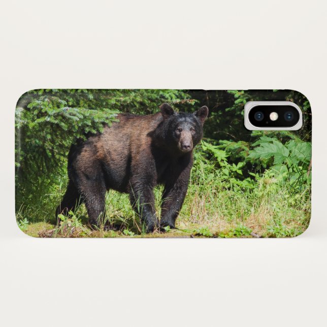 Capa Para iPhone, Case-Mate Urso Preto Alfa (Verso (Horizontal))