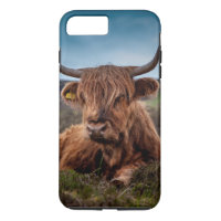 Vaca Highland