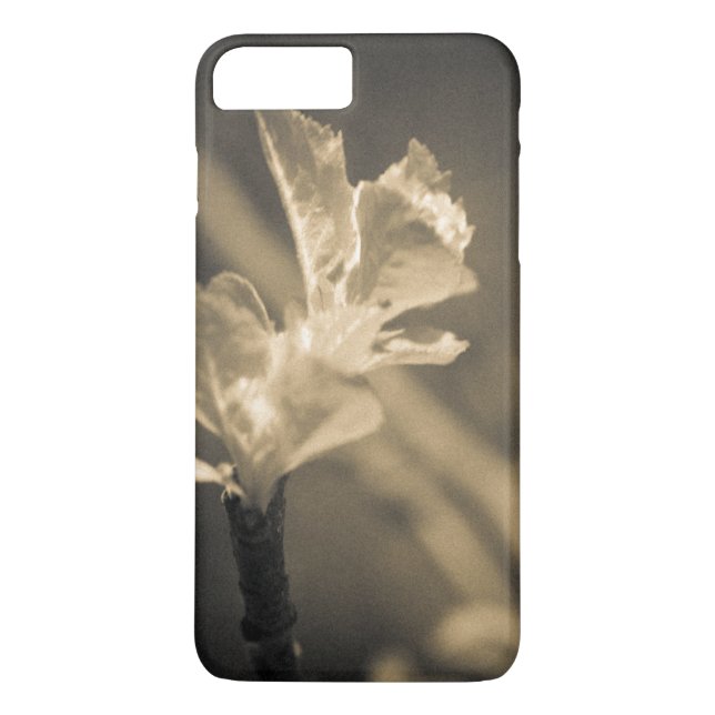 Capa Para iPhone, Case-Mate Vestígio de Primavera (Verso)