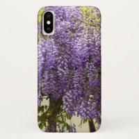 Violet Wisteria Flowers