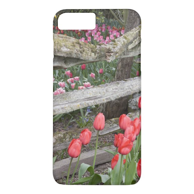 Capa Para iPhone, Case-Mate WA, Skagit Valley, Roozengaarde Tulip Garden, (Verso)